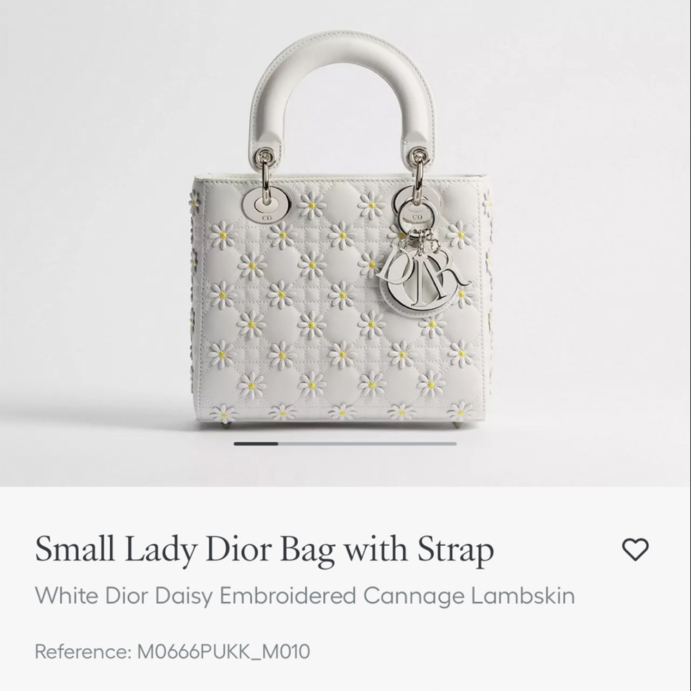 NWT. Limited Edition Small Lady Dior Bag with Strap - Picture 9 of 10